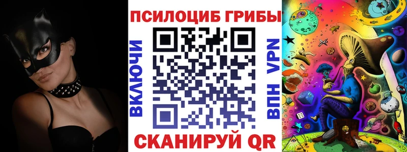 Купить  Гусь-Хрустальный  Псилоцибиновые грибы Psilocybe 